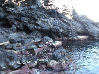 i Trezza-20110317 004